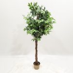 Umetna rastlina FIKUS MICROCARPA