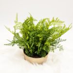 Umetna rastlina praprot GREEN LADY