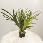 Umetna rastlina PRAPROT ELKHORN